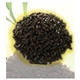 Sell Solid Organic Fertilizer