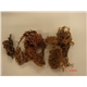 Buy: Rumput Laut Eucheuma Cottoni