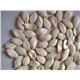 snow pumpkin seeds