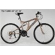 road bicycle
