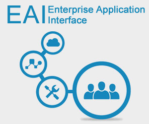 EAI ( Enterprise Application Interface)